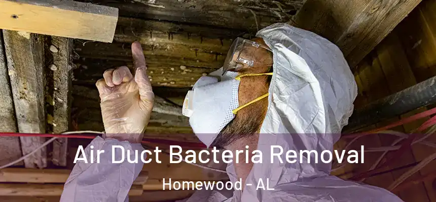  Air Duct Bacteria Removal Homewood - AL