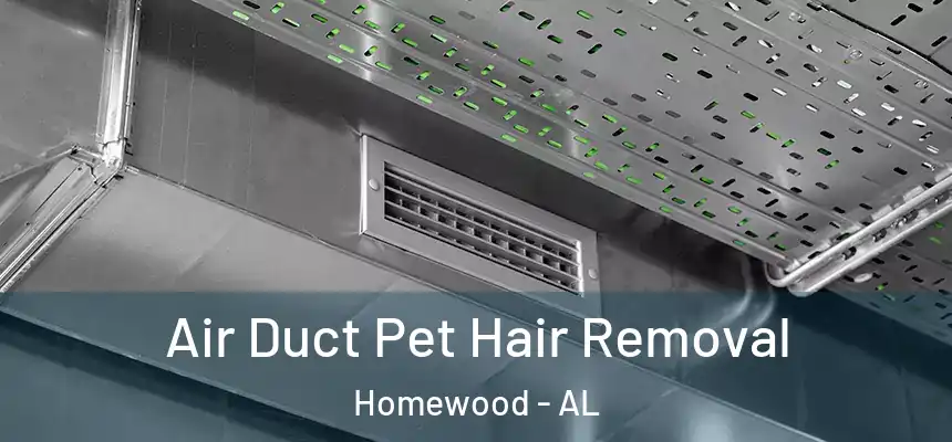  Air Duct Pet Hair Removal Homewood - AL