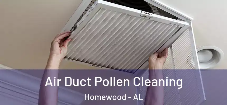 Air Duct Pollen Cleaning Homewood - AL