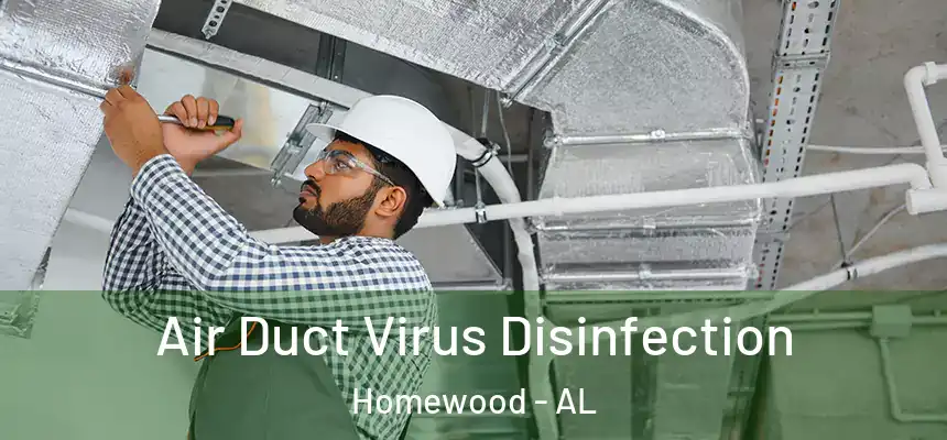  Air Duct Virus Disinfection Homewood - AL