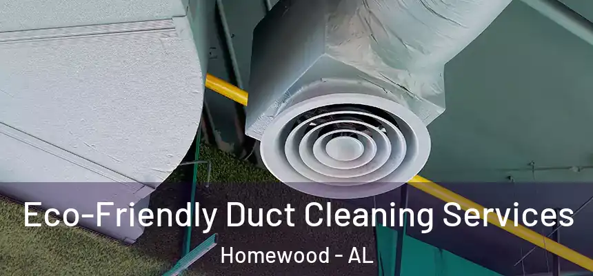 Eco-Friendly Duct Cleaning Services Homewood - AL