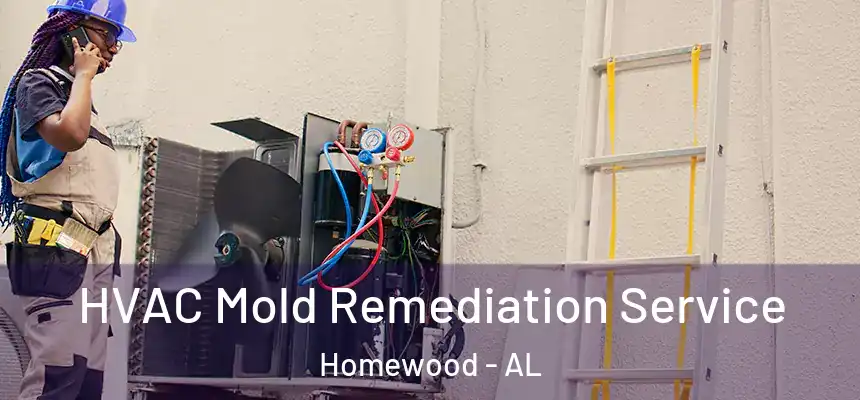  HVAC Mold Remediation Service Homewood - AL