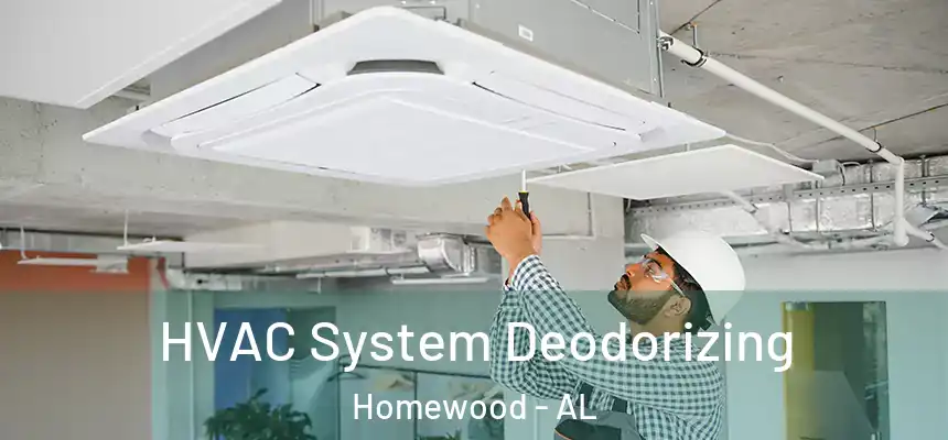  HVAC System Deodorizing Homewood - AL