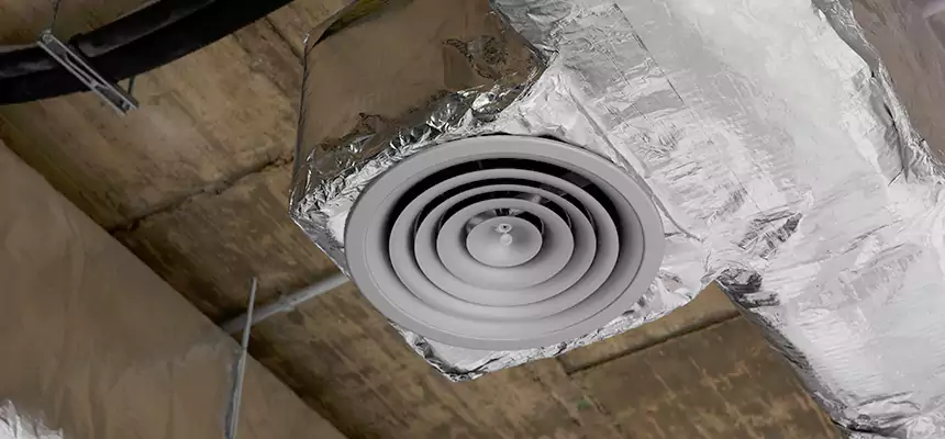 Our Excess Lint Removal from Dryer Ducts Services in Homewood, AL