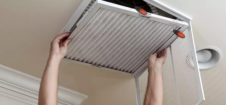 Our Insect Removal from Air Ducts Services in Homewood, AL