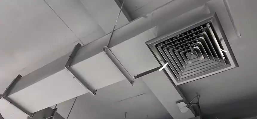 Our Pest Removal From Ducts Services in Homewood, AL