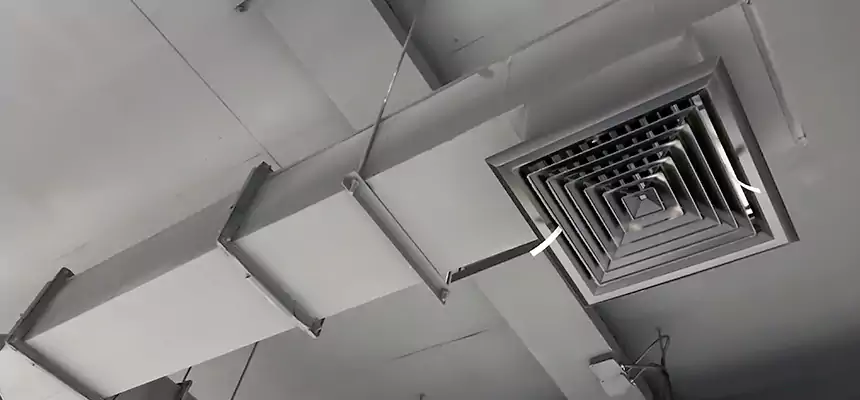 Our Rodent Droppings In Vents Services in Homewood, AL