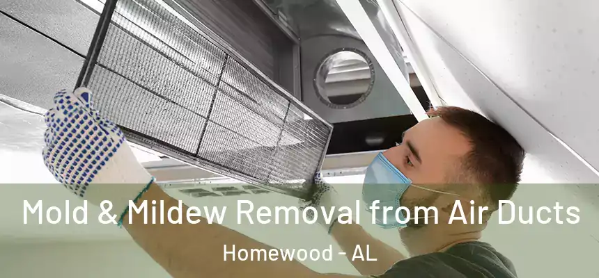  Mold & Mildew Removal from Air Ducts Homewood - AL