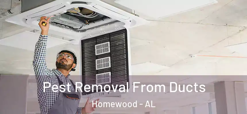  Pest Removal From Ducts Homewood - AL