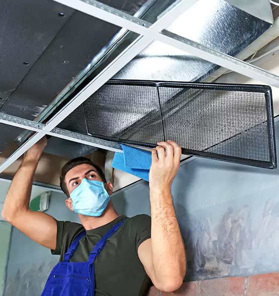 About Air Duct Bacteria Removal in Homewood