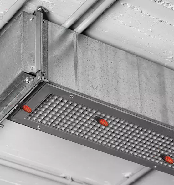 About Air Duct Cockroach Removal in Homewood, AL