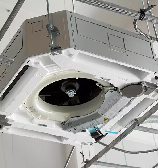 Professional Roof Vent Lint Removal Homewood, AL