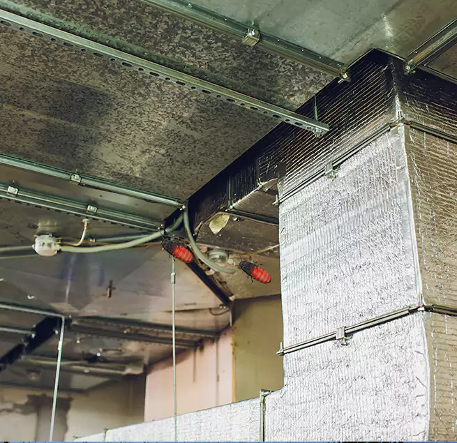 Why Homeowners & Businesses Trust Us Homewood, AL?